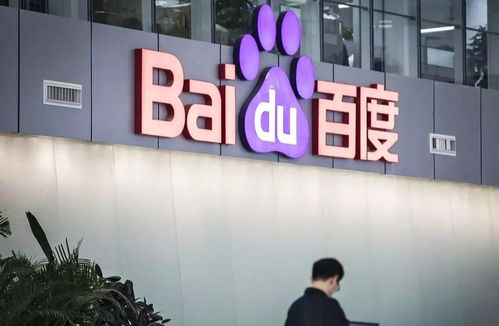 百度蜘蛛池平台（百度蜘蛛入口）